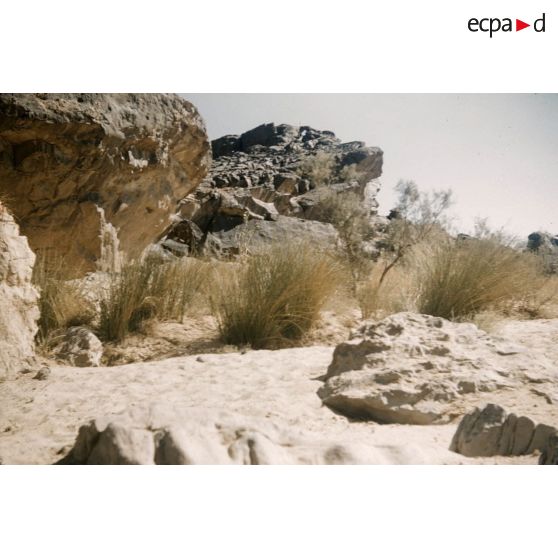 Oued Tin Keouene. [légende d'origine]