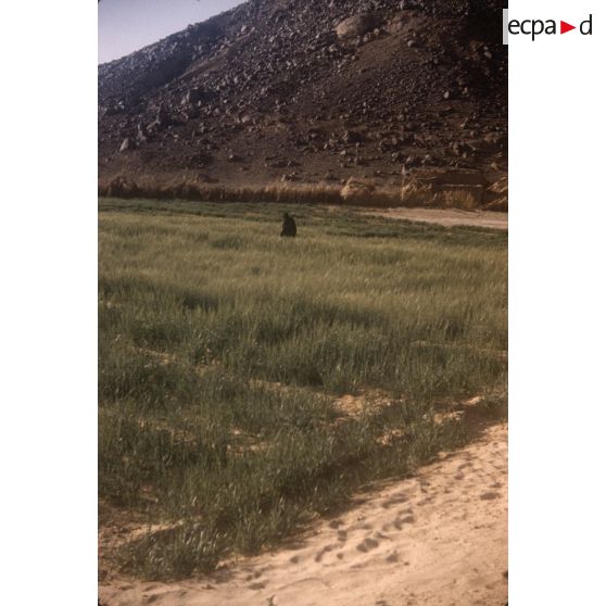 Centre de culture à Tamadjert. [légende d'origine]