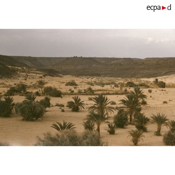 Tamadjert. [légende d'origine]