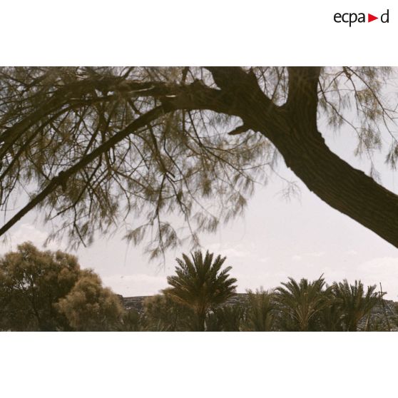 Tamadjert. [légende d'origine]