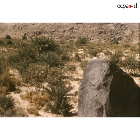 [Tamadjert (Algérie), 1958-1961.]