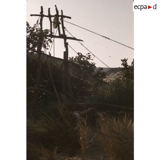 [Puits à balancier pour l'irrigation à Tamadjert (Algérie), 1958-1961.]
