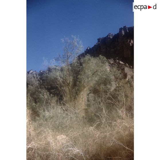 Oued Imirhou. [légende d'origine]