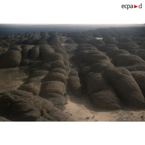 Irekam N'Djendjou. [légende d'origine]