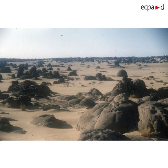 Irekam N'Djendjou. [légende d'origine]