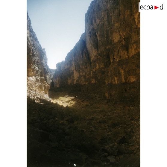 [Relief algérien, 1958-1961.]