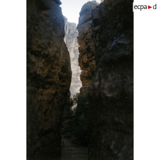 [Relief algérien, 1958-1961.]