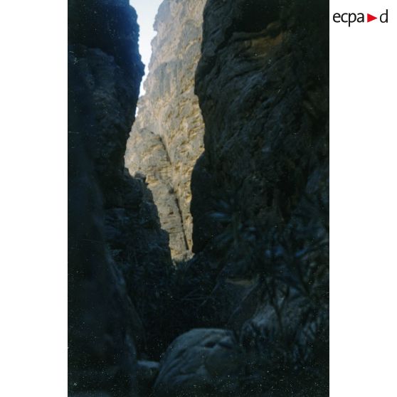 [Relief algérien, 1958-1961.]