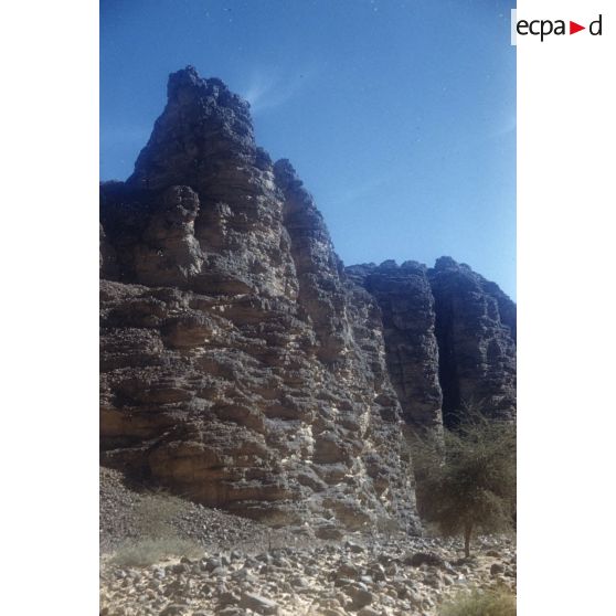 [Relief algérien, 1958-1961.]