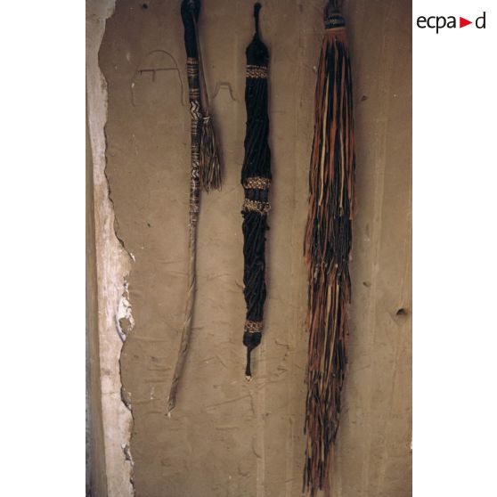 Cravache. Glada. Maaleg [?]. [légende d'origine]