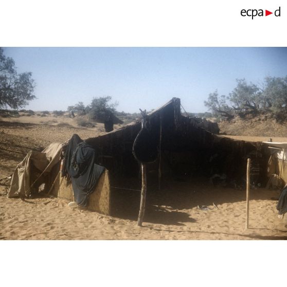 Campement. [légende d'origine]