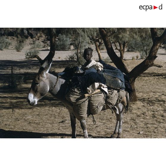 Tamadjert. On va partir. [légende d'origine]