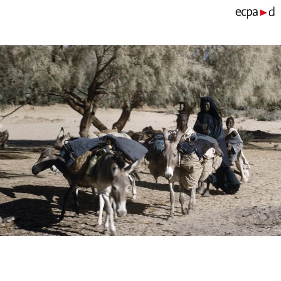 Tamadjert. On part. [légende d'origine]