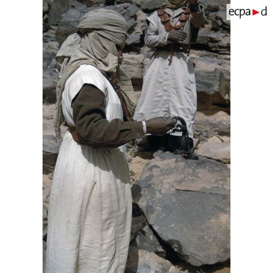 Dob. [légende d'origine]