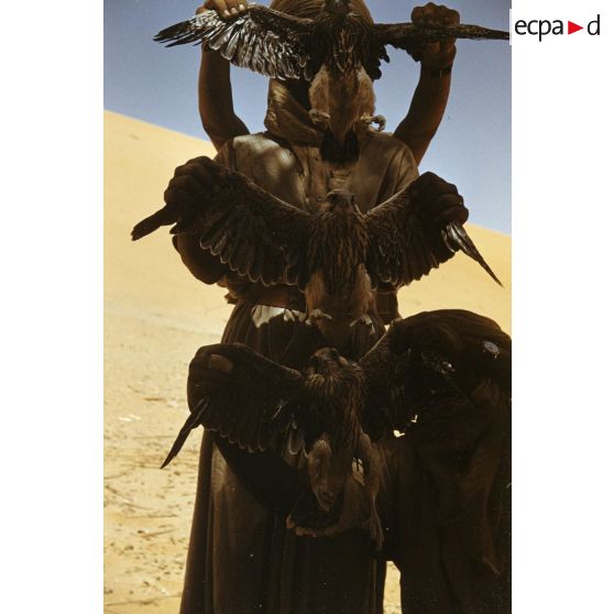 Buses. Bouraret. [légende d'origine]