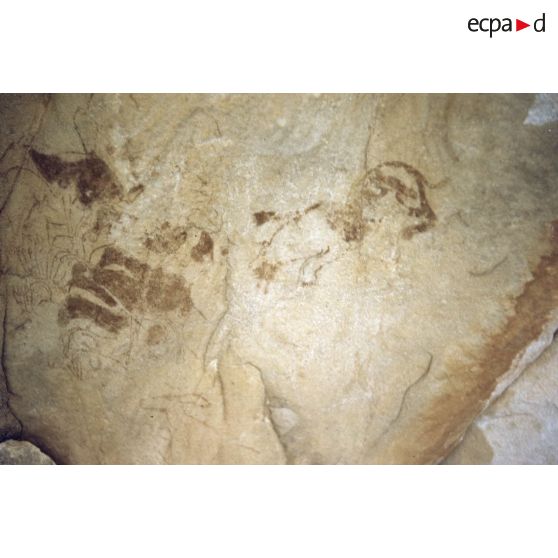 Oued In Tekkôd. Fadnoun. [légende d'origine]