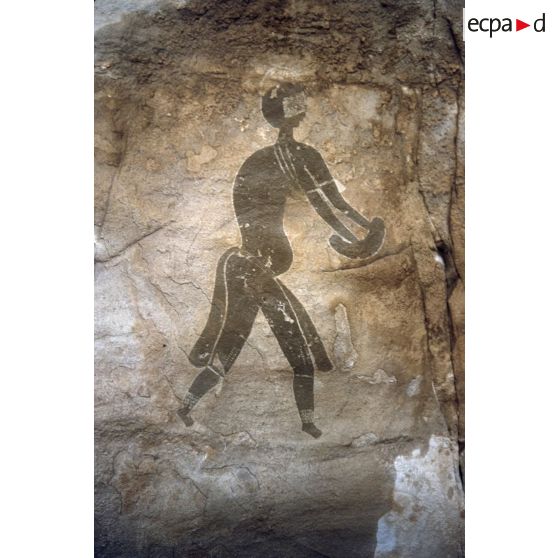 Sefar. [légende d'origine]