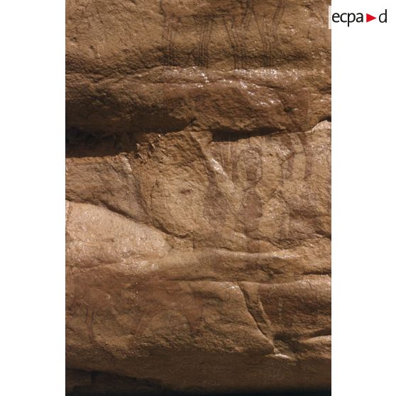 Tamadjert. [légende d'origine]