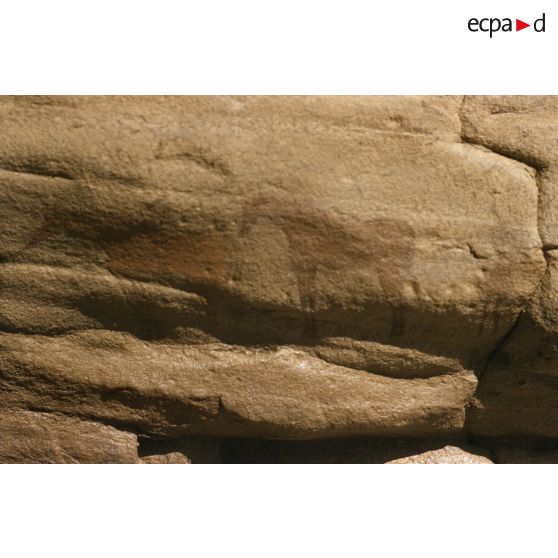 Tamadjert. [légende d'origine]