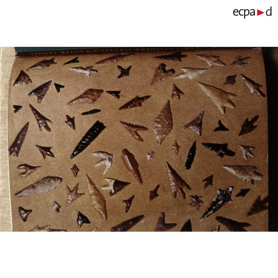 [Pointes de lances exposées, 1992.]