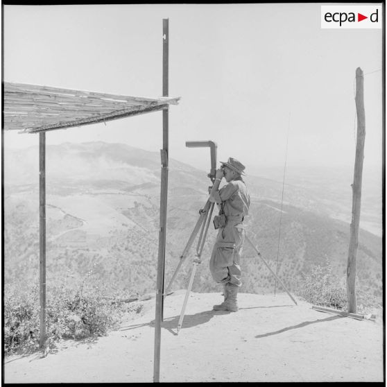 Observation au binoculaire.