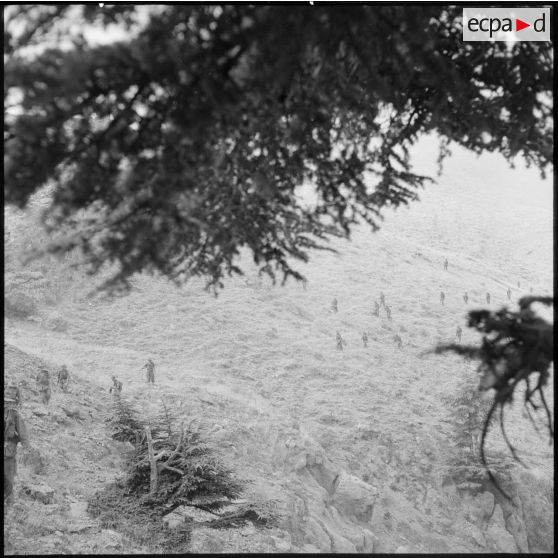 Des soldats du 94e régiment d'infanterie (RI) en progression dans le djebel de la région de Bou Hammama.
