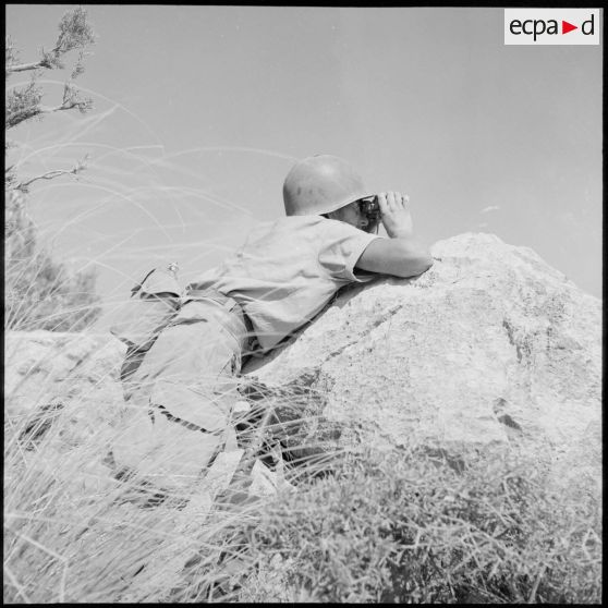 Observation du terrain par un sergent-chef du 94e régiment d'infanterie (RI).