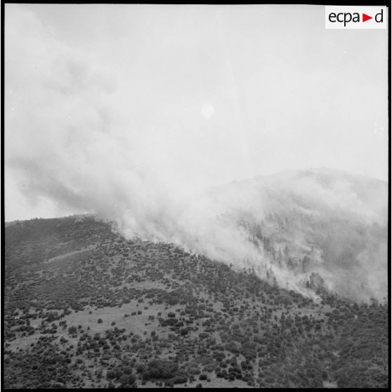 Incendie dans la forêt de Beni-Mellouhl.