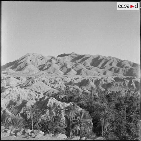 La palmeraie et le village de Négrien (Négrine?).