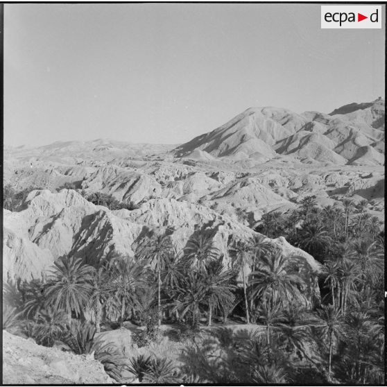 La palmeraie et le village de Négrine.