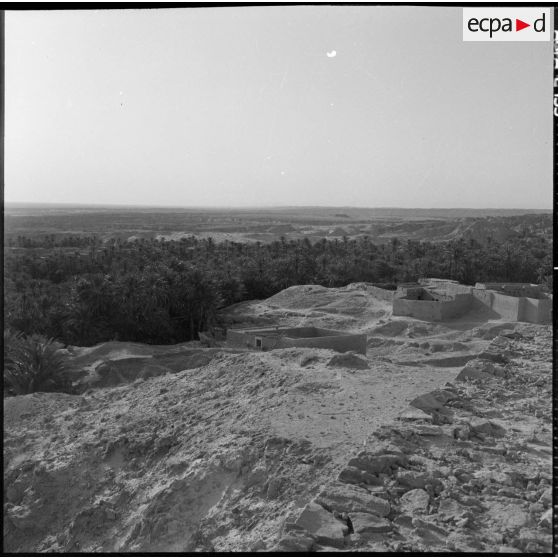 La palmeraie et le village de Négrien (Négrine?).