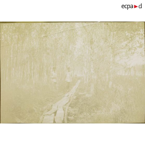 [Jean Gélas et un camarade près d'une passerelle en forêt, s.d.]