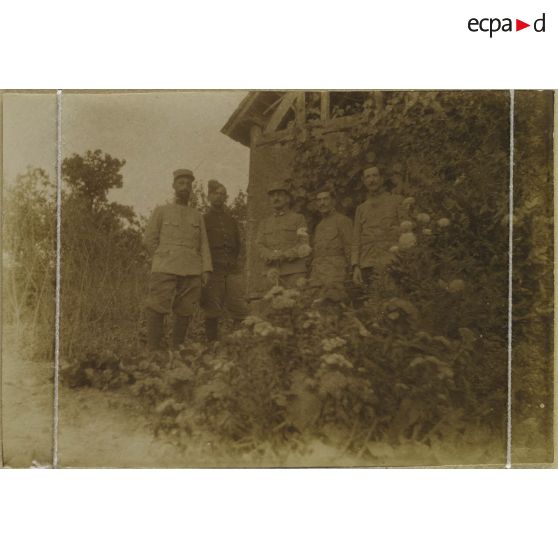 [Portrait de cinq militaires dans un jardin, s.d.]