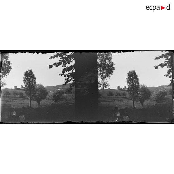 [Portrait de famille devant un paysage de campagne, s.d.]