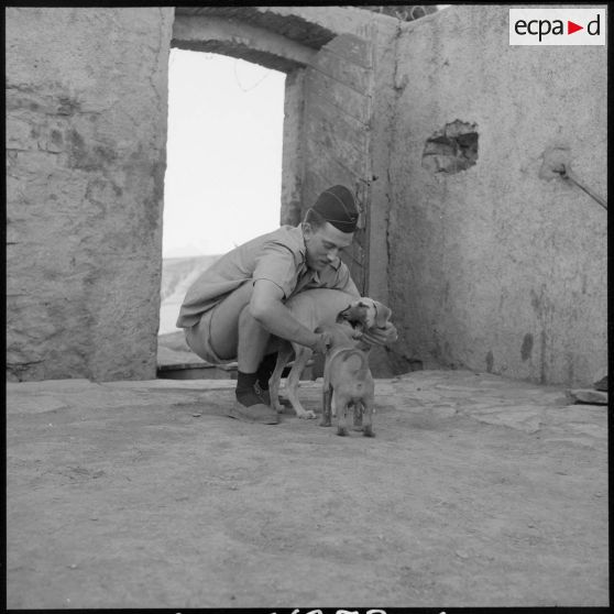 Le sous-lieutenant Robert Martignoni joue avec un jeune lévrier.