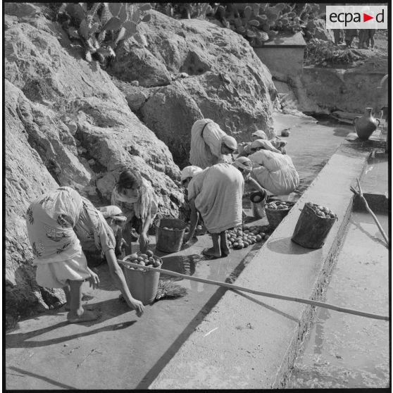 A la fontaine d'El Haouanet un groupe de femmes lavent de la nourriture.