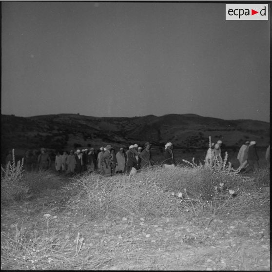 Une colonne d'hommes escortée par des soldats Français progresse dans les environs de Redjas.