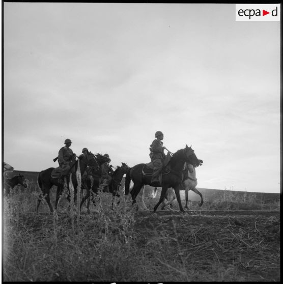 Des cavaliers rentrent d'opération.