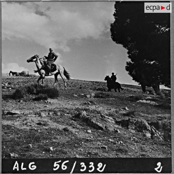 Protection d'un champ par des cavaliers du 10e groupe d'escadrons de spahis algériens (GESA) à Wagram.