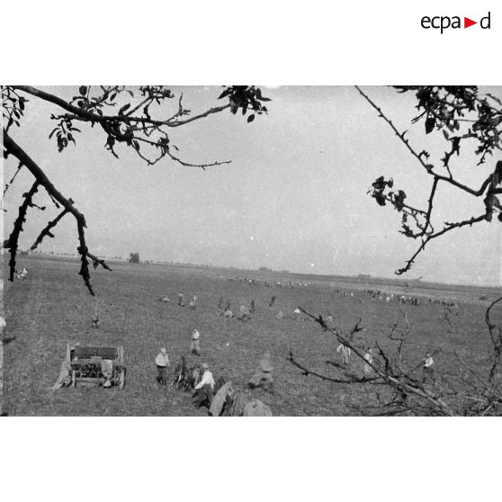 [Bombardement, s.d.]