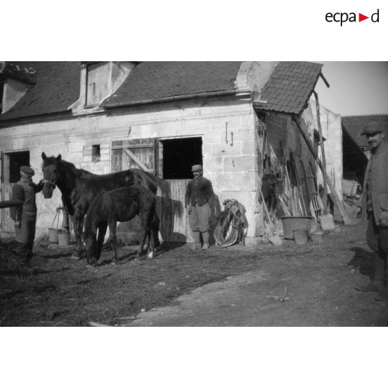 [Animaux dans une ferme, s.d.]
