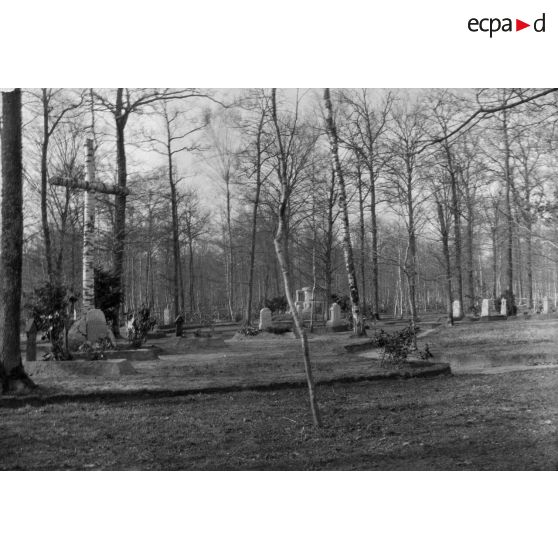 [Cimetière aménagé dans une forêt, s.d.]