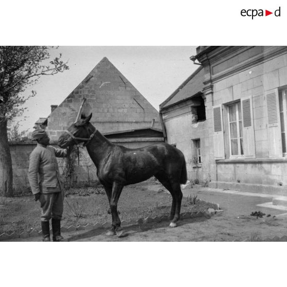 [Un militaire avec son cheval, s.d.]