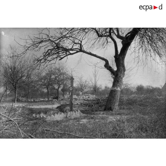[Tombe au pied d'un arbre, s.d.]