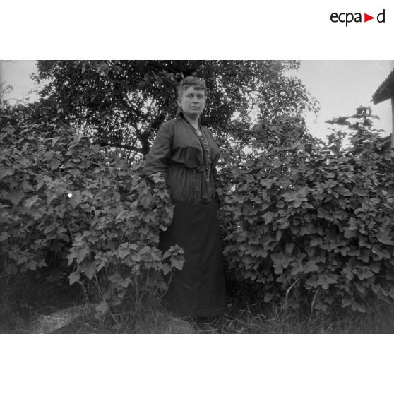 [Portrait d'une femme au milieu des fleurs, s.d.]