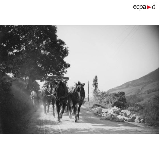 [Passage d'une carriole sur un chemin, 1920.]