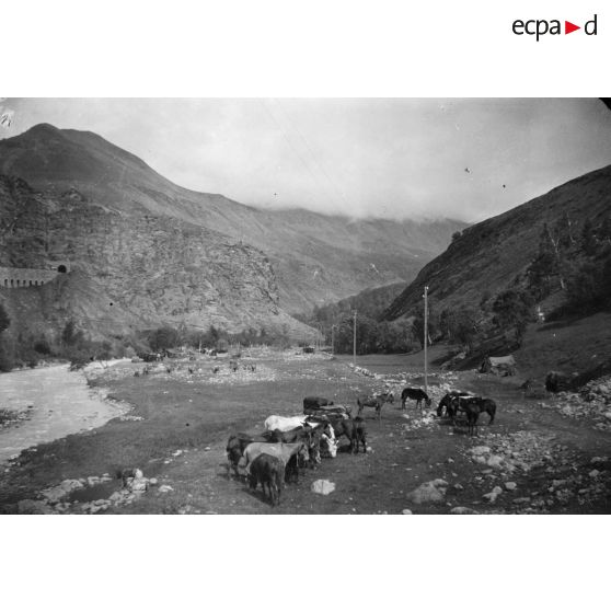 [Paysage de montagne].