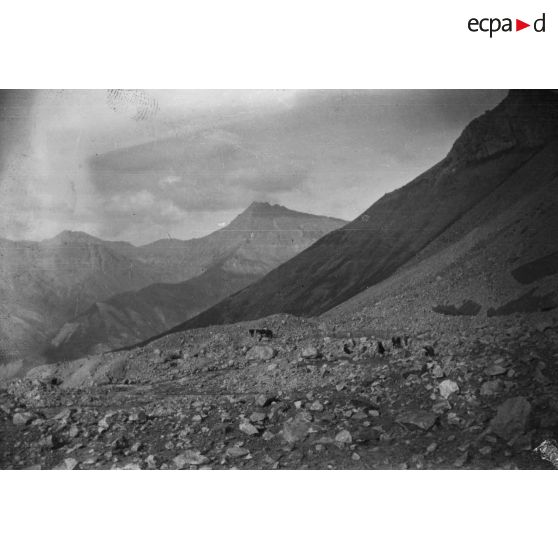 [Paysage de haute montagne].