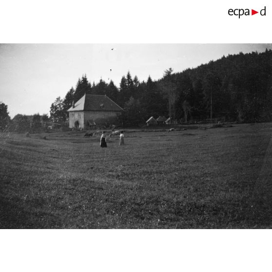 [Deux femmes dans un champ, s.d.]