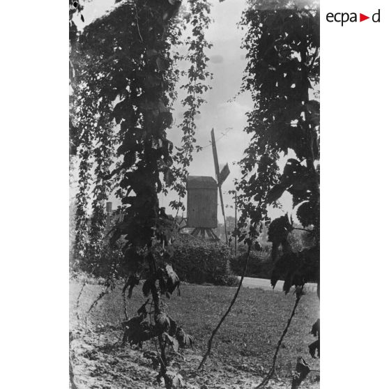 [Vue d'un moulin à vent dans la campagne, s.d.]